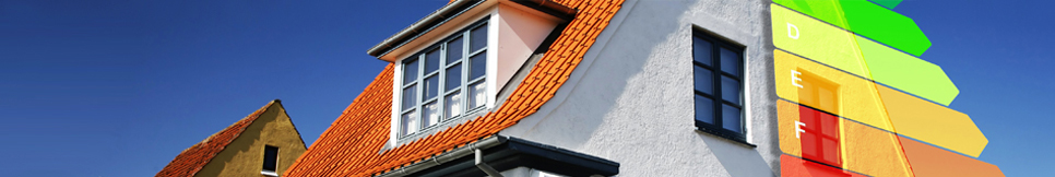 Banner - Dirk Neurath